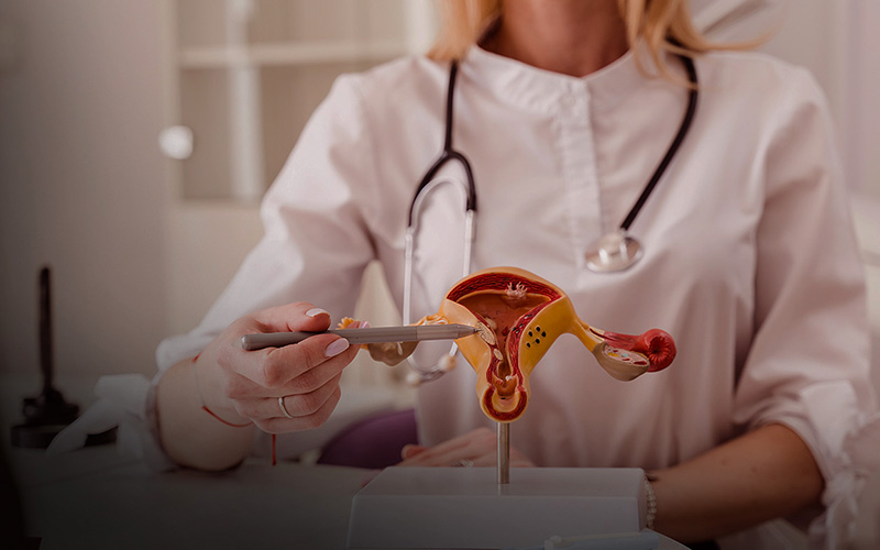 Ginecologia Alcochete