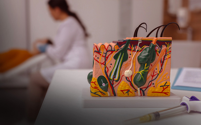 Imunoalergologia alcochete