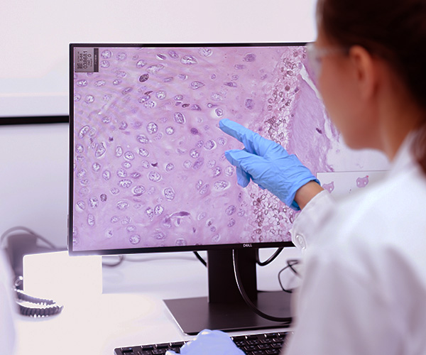 Imunoalergologia montijo