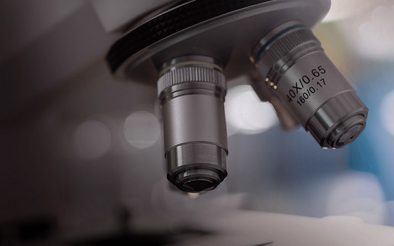 analises clinicas alcochete montijo