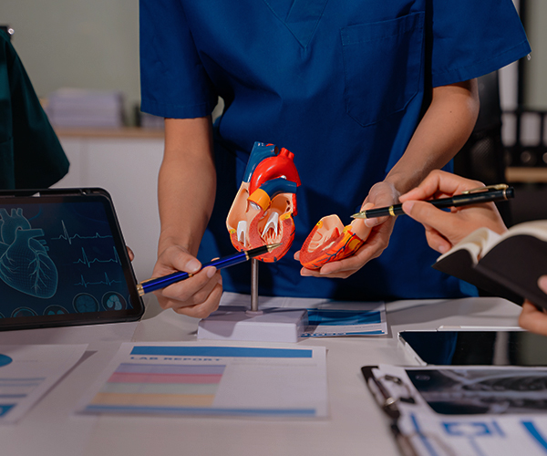 cardiologia Montijo Cardiologia Montijo