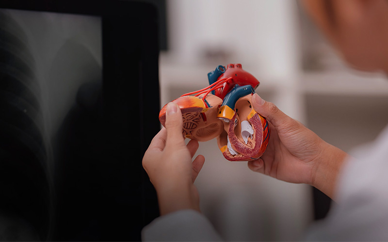 cardiologia Alcochete